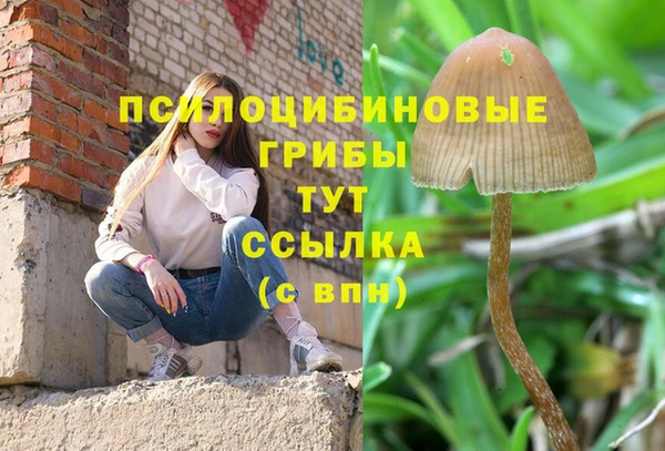 сатива Абдулино