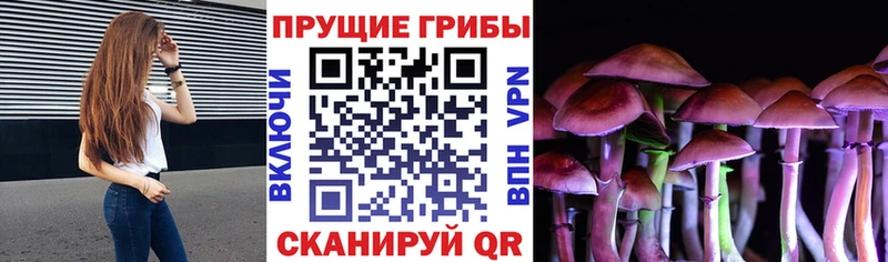 Псилоцибиновые грибы прущие грибы Никольское